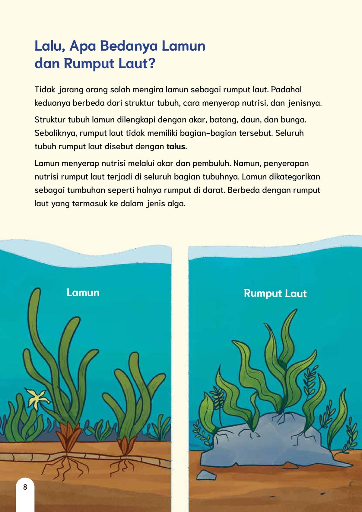 Lamun si Penjaga Lautan