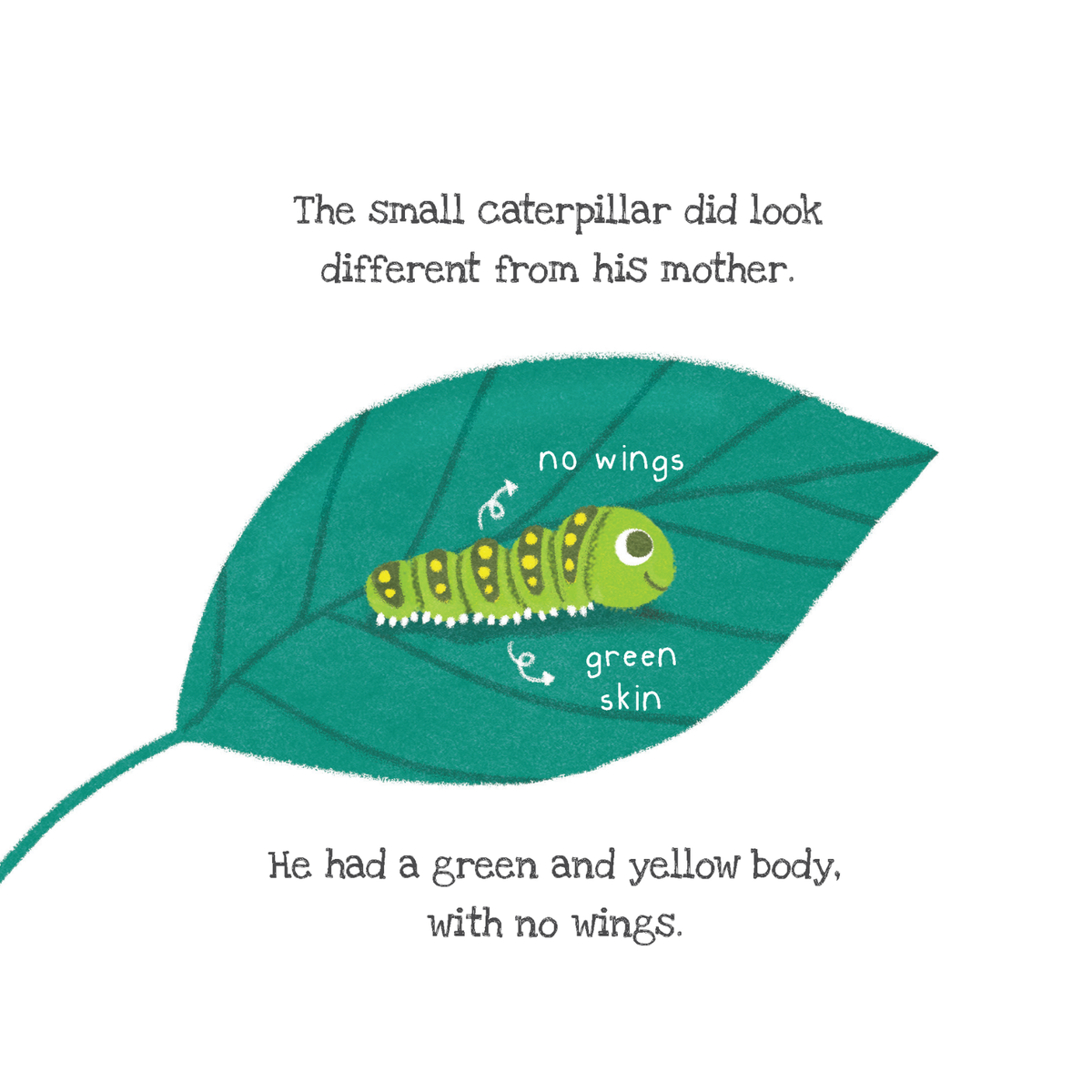 Penerbitan Pelangi Indonesia – Why Don’t I Look Like You? | Buku Cerita Anak Bahasa Inggris | Identitas, Keberagaman & Self-Acceptance | Anak Rimba