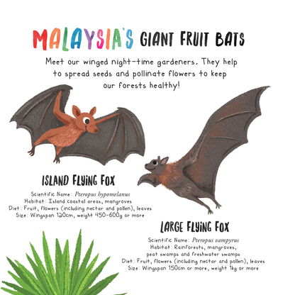 Penerbitan Pelangi Indonesia – My Midnight Flora | Buku Cerita Anak Bahasa Inggris | Kesabaran & Pantang Menyerah | Anak Rimba