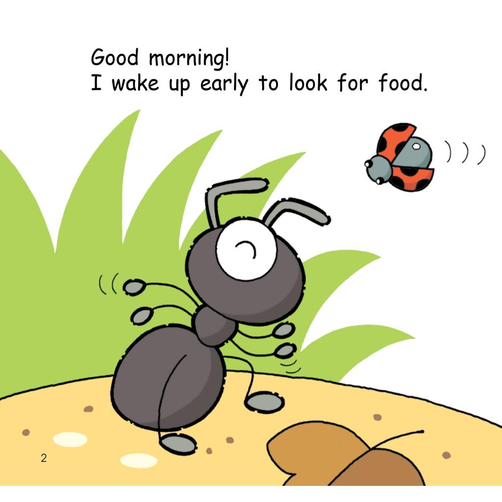 Hello Animals - Big Bks - The Spider Spi