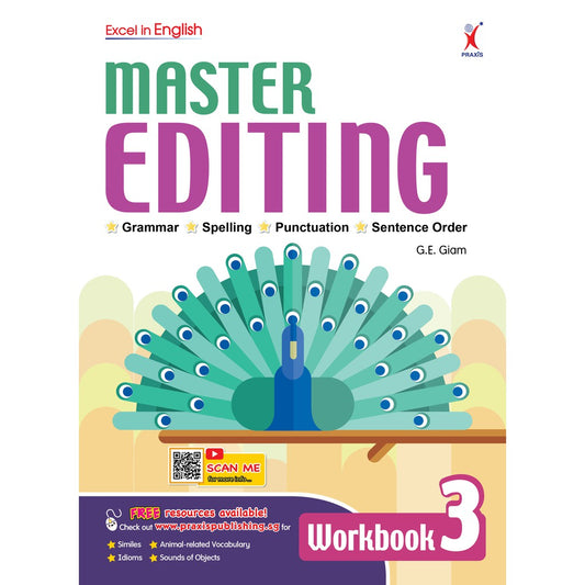 Excel In English - Master Editing Workbook 3