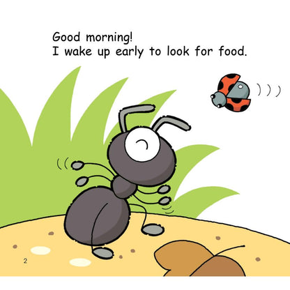 Hello Animals - Big Bks - The Spider Spi