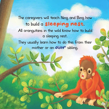 Animal Story World-Protect Them
(The Story Of 2 Baby Orgutans
