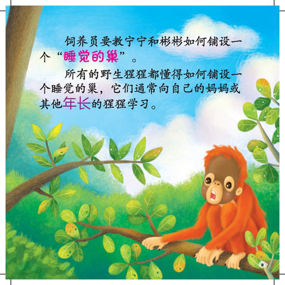 Guan Ai Dong Wu Gu Shi Ji - Liang Zi Xiangxingxing De Gushi
