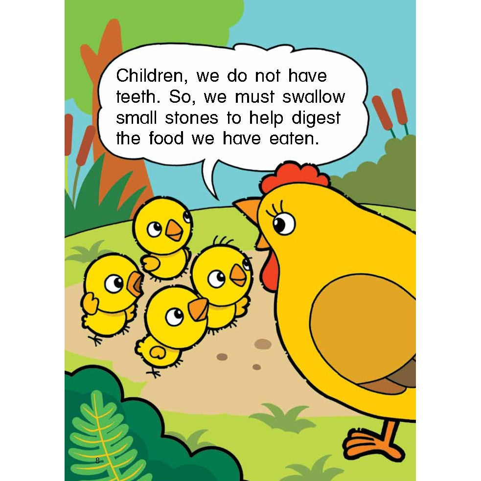 I-Leap Steam Stories (K1) Happy
Birthday, Betty!