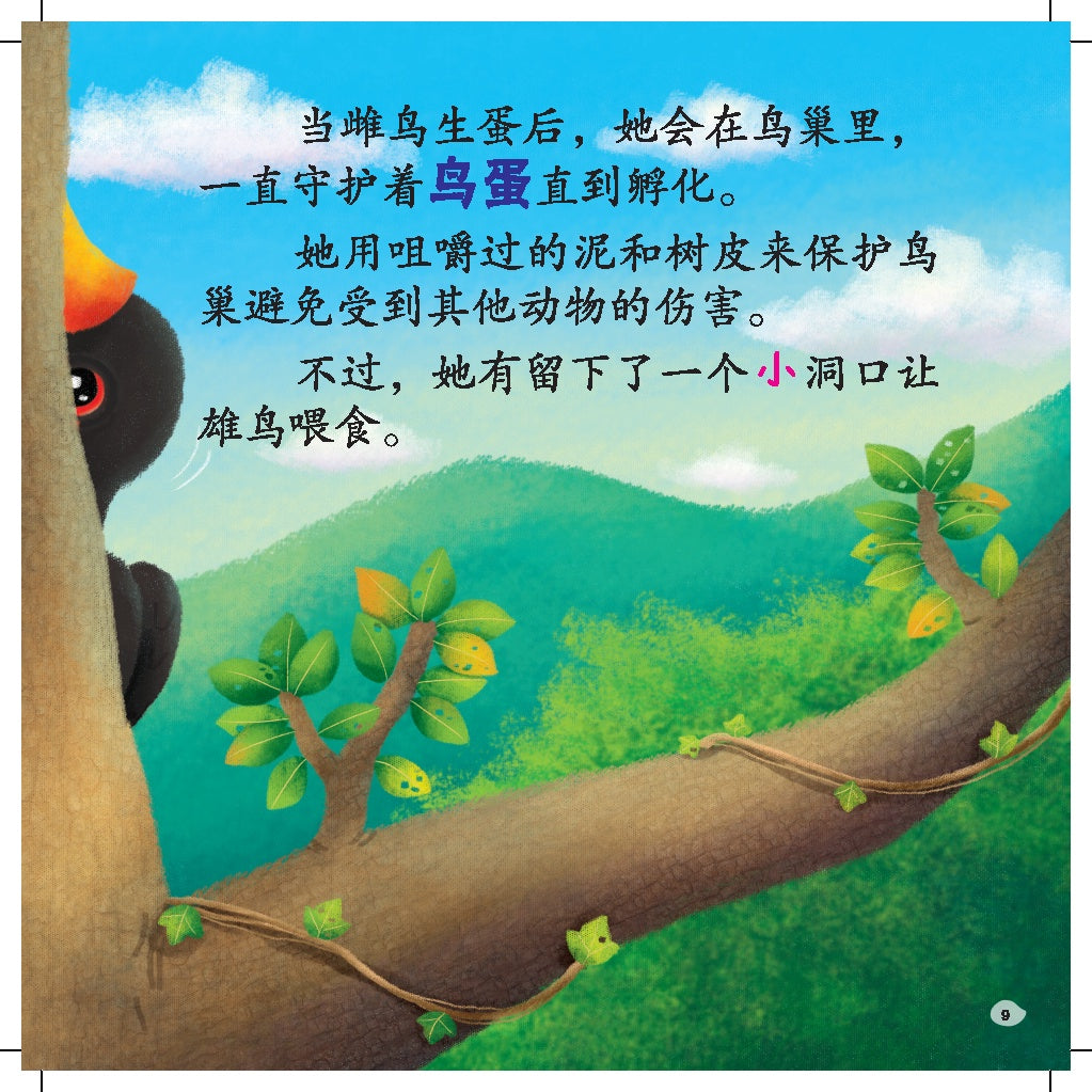 Guan Ai Dong Wu Gu Shi Ji - Liang Zhi Malai Xiniao Baobao