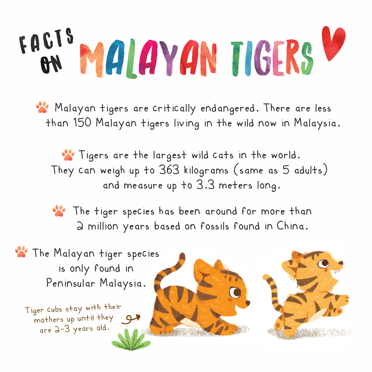 Penerbitan Pelangi Indonesia – No Roar Day | Buku Cerita Anak Bahasa Inggris | Emosi & Persahabatan | Anak Rimba