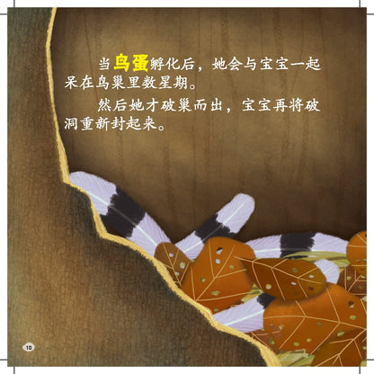 Guan Ai Dong Wu Gu Shi Ji - Liang Zhi Malai Xiniao Baobao