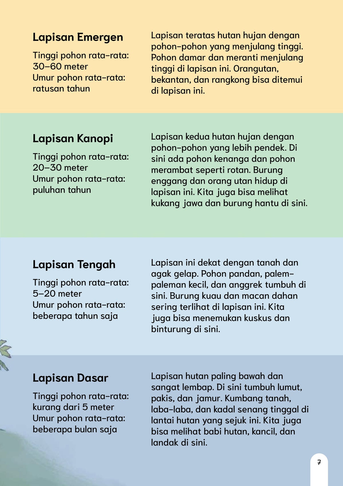 Perubahan Iklim terhadap Hutan Hujan