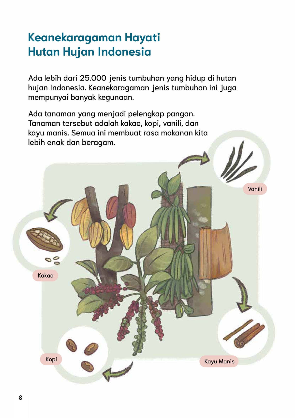 Perubahan Iklim terhadap Hutan Hujan