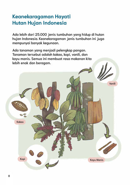 Perubahan Iklim terhadap Hutan Hujan