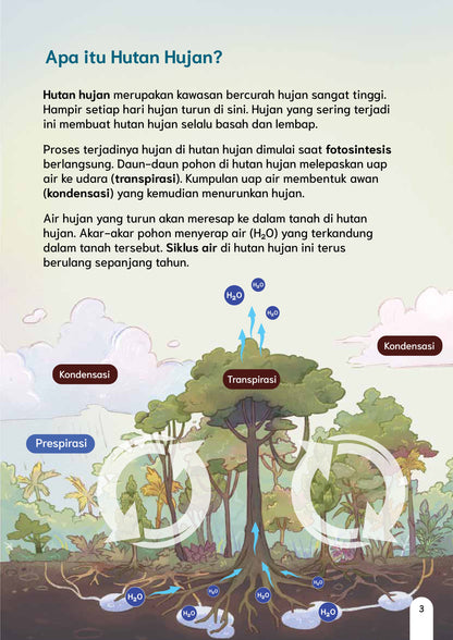 Perubahan Iklim terhadap Hutan Hujan