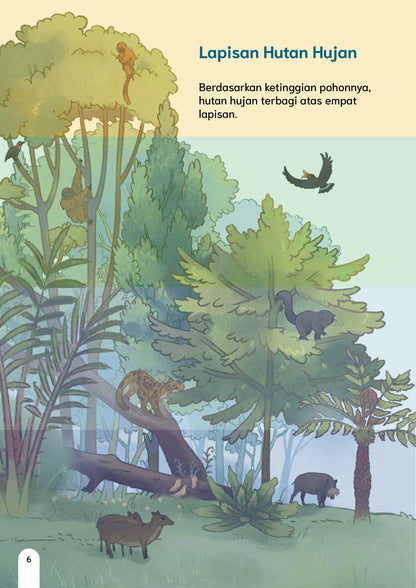 Perubahan Iklim terhadap Hutan Hujan