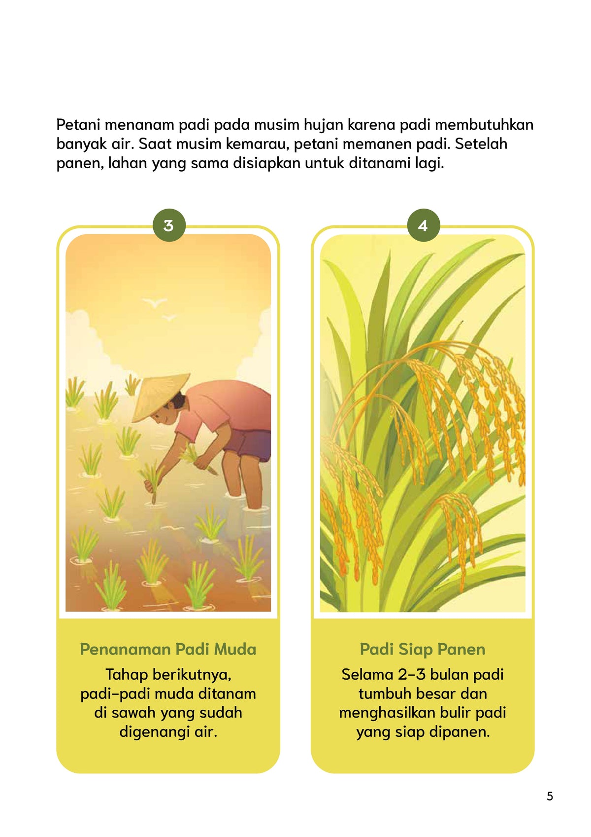 Perubahan Iklim terhadap Pertanian