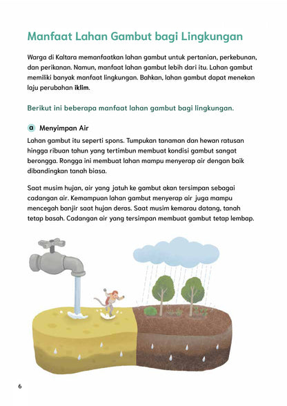 Menjaga Lahan Gambut Kaltara