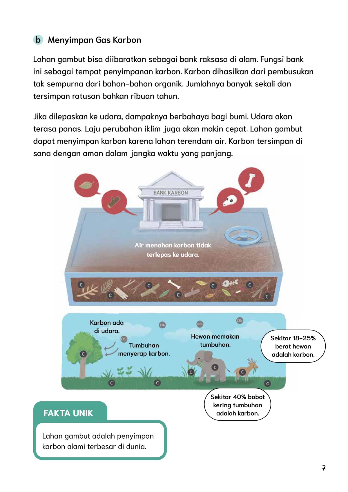 Menjaga Lahan Gambut Kaltara