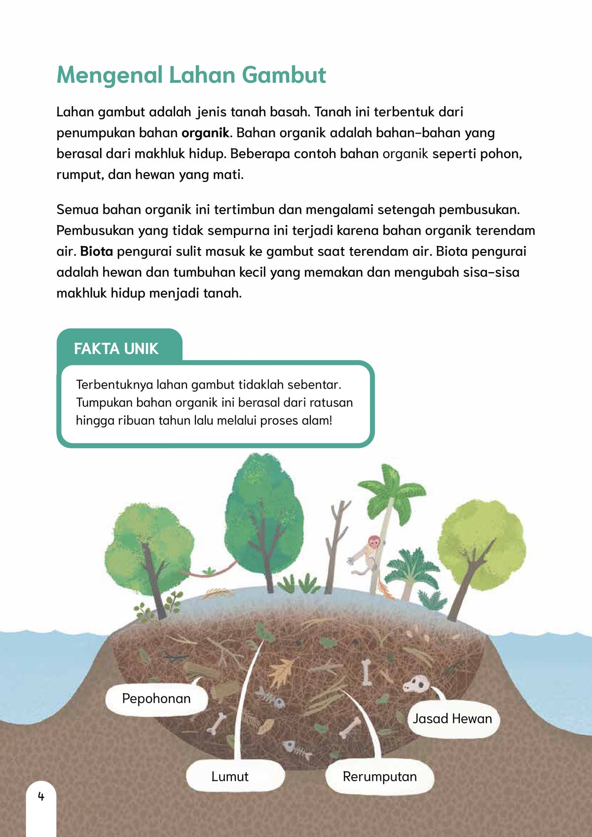 Menjaga Lahan Gambut Kaltara