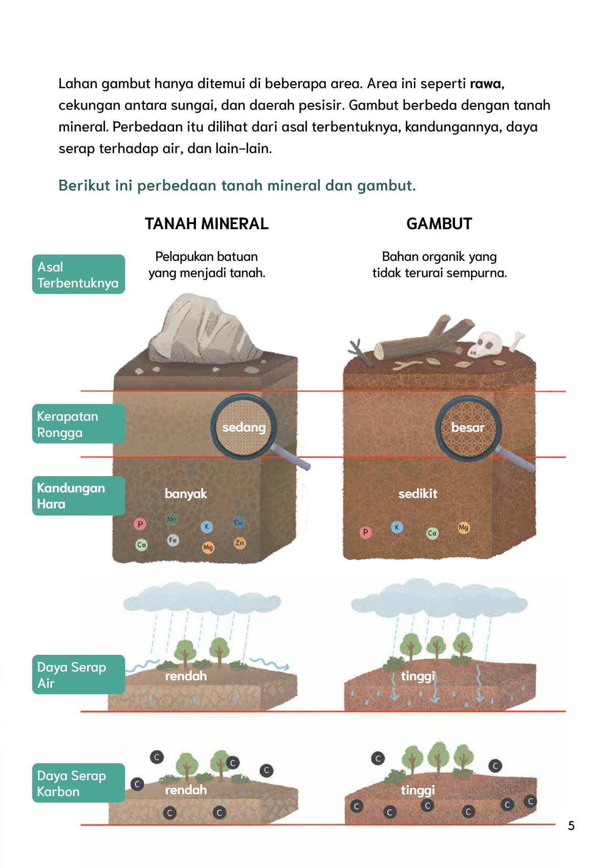 Menjaga Lahan Gambut Kaltara