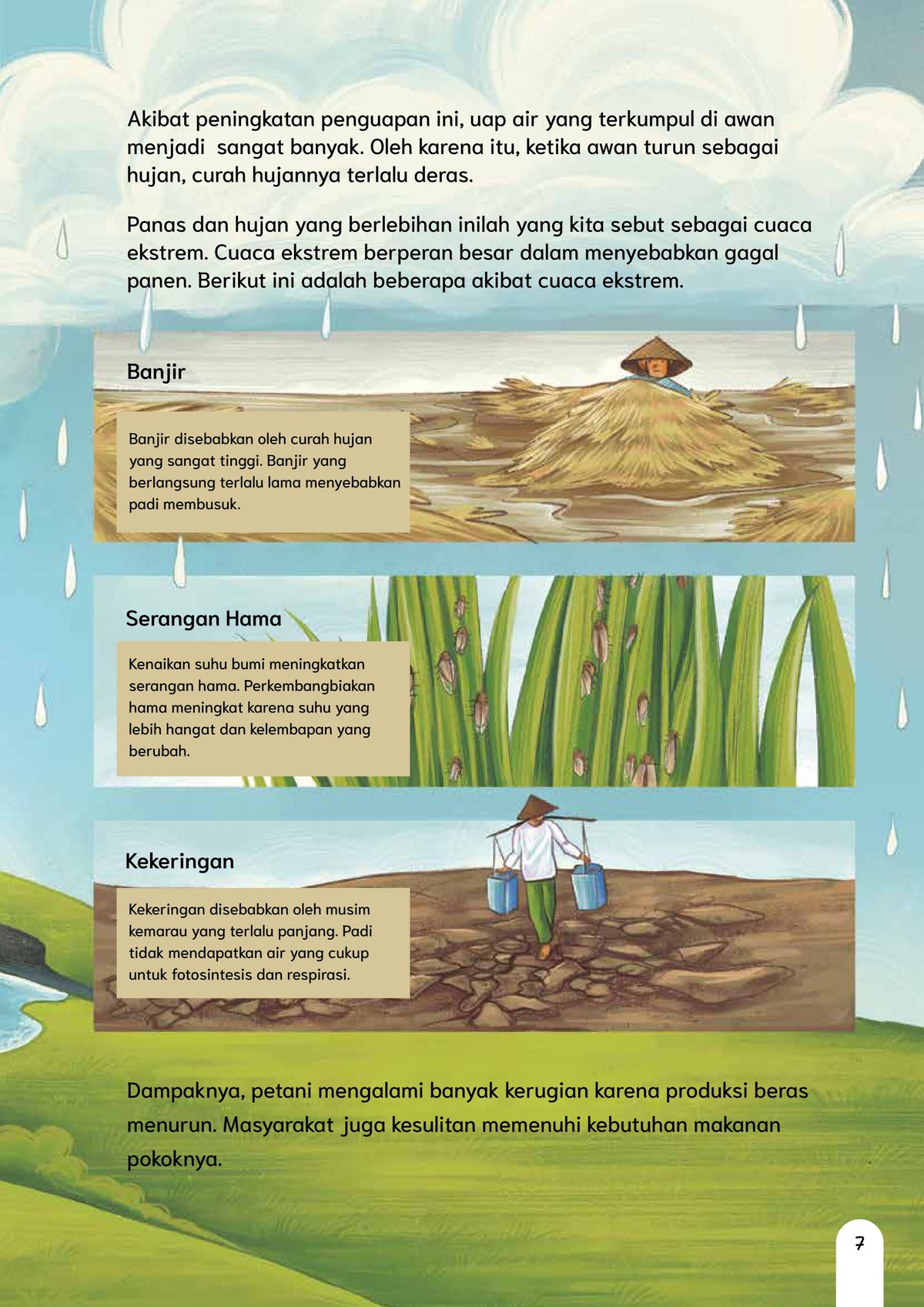 Rasi, si Beras Singkong