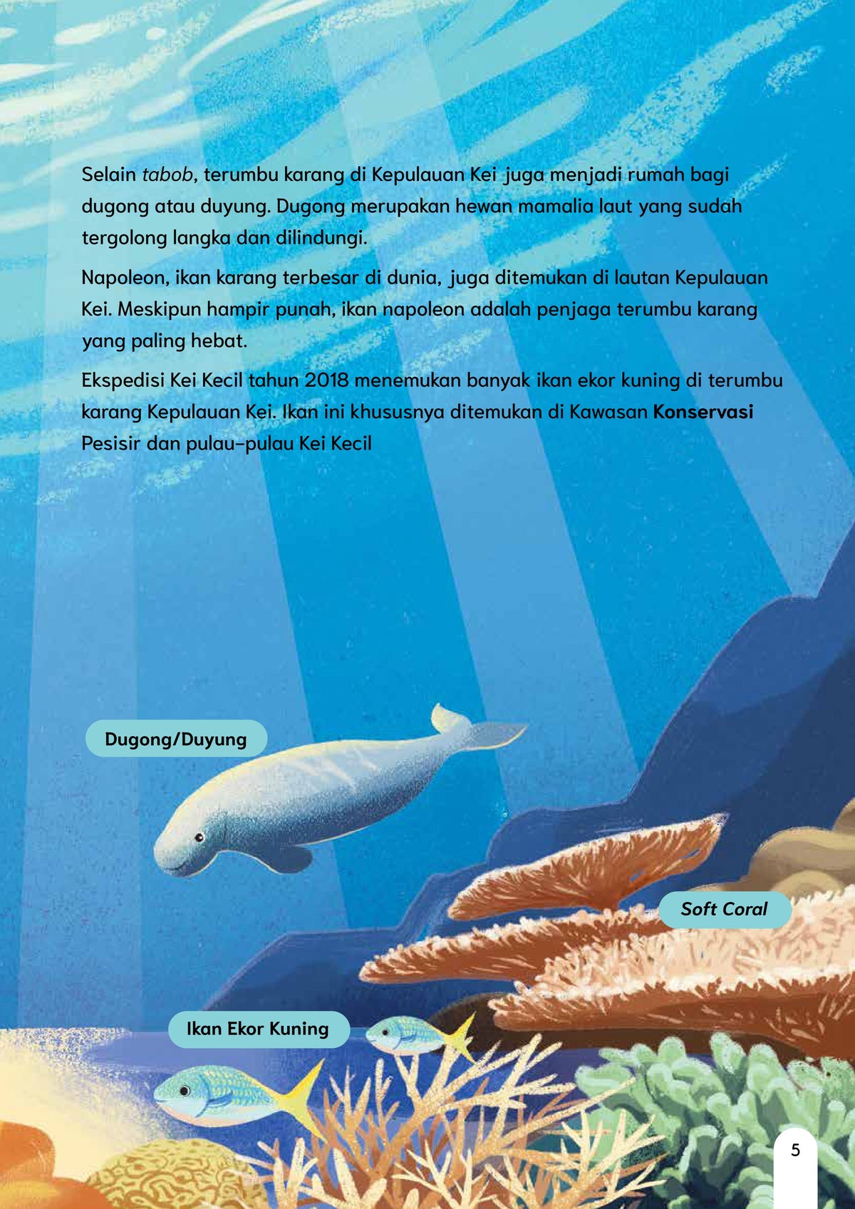 Sasi Laut di Kepulauan Kei