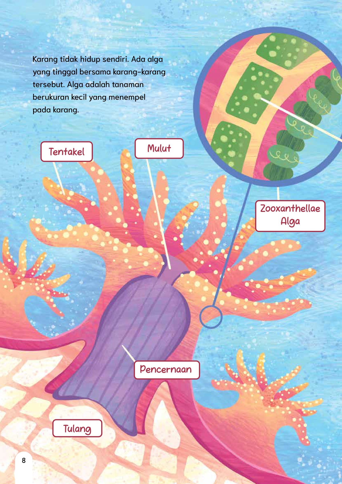 Taman Bawah Laut Selat Madura