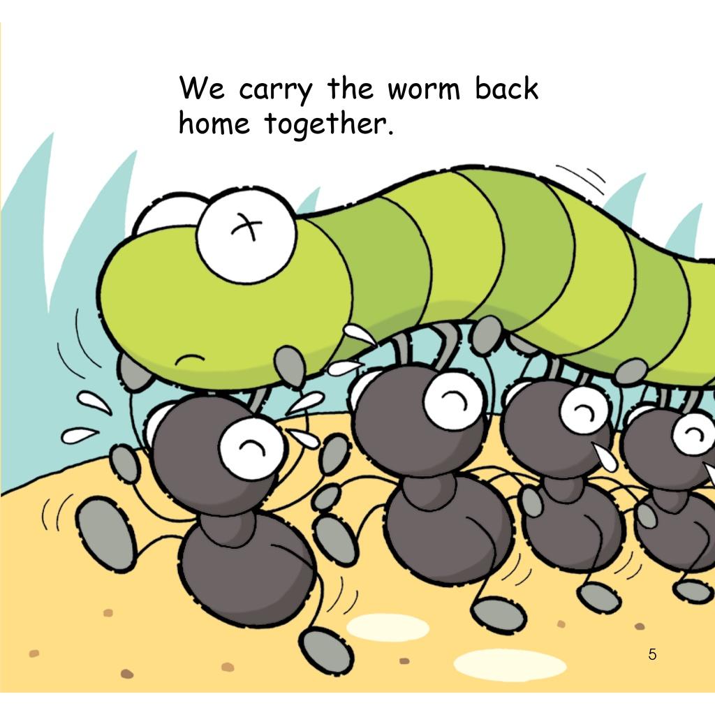 Hello Animals - Big Bks - The Spider Spi