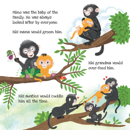 Beyond Mimo’s Tree