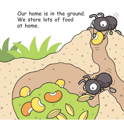 Hello Animals (2023 Edition) - Busy Little Bees