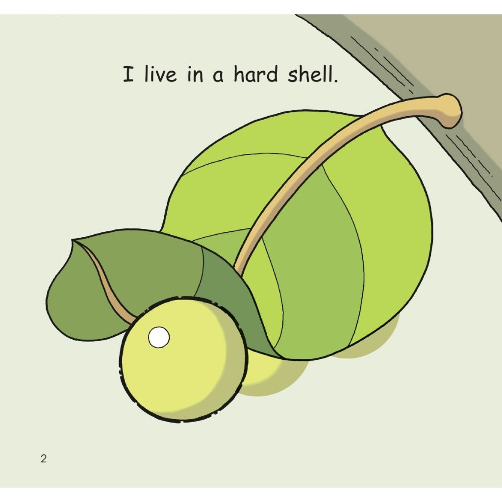 Hello Animals (2023 Edition) - Busy Little Bees