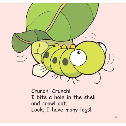 Hello Animals (2023 Edition) - Busy Little Bees