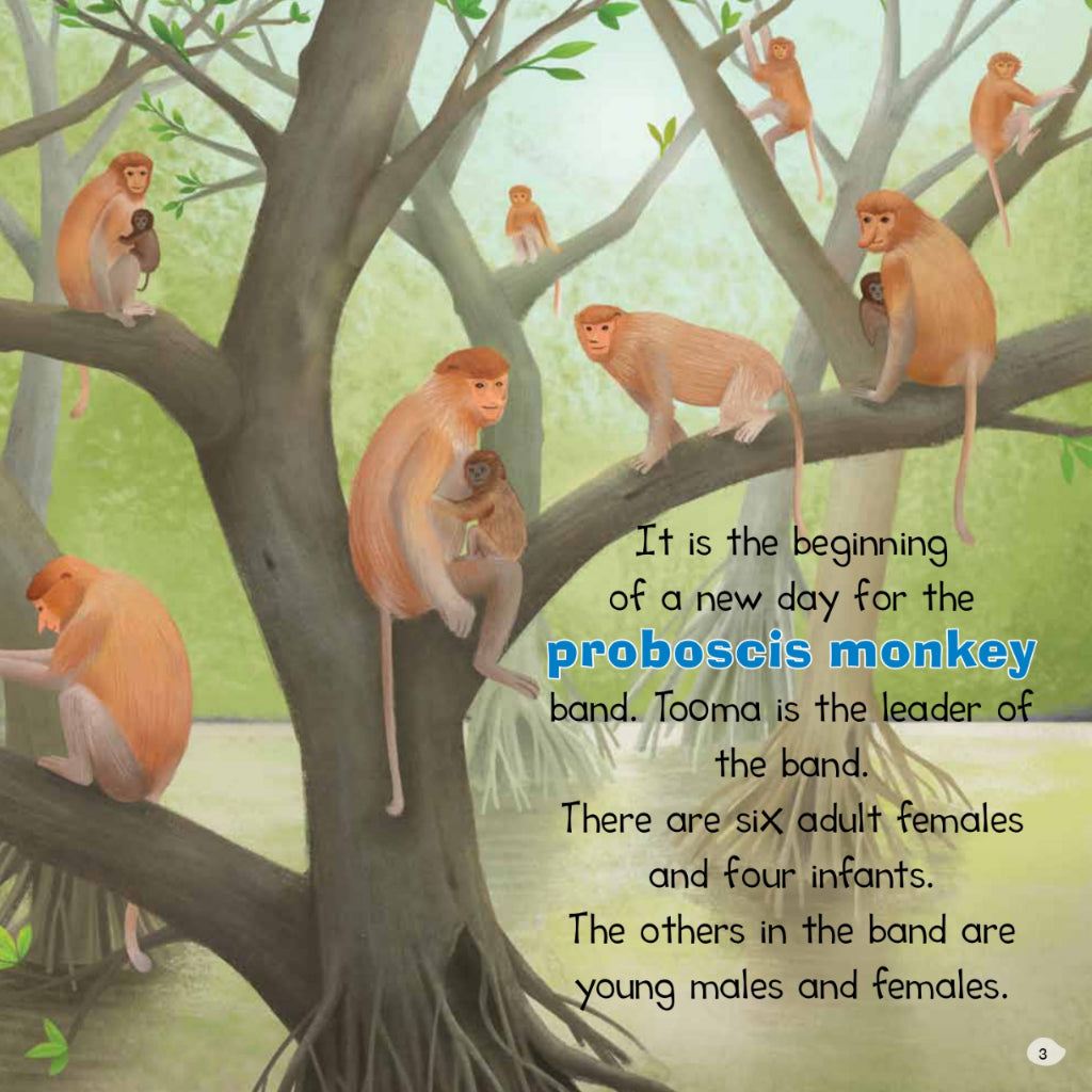 Animal Story World-Protect Them (The Proboscis Monkey Family)
