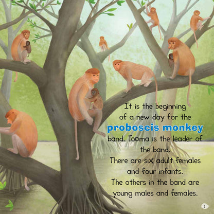 Animal Story World-Protect Them (The Proboscis Monkey Family)