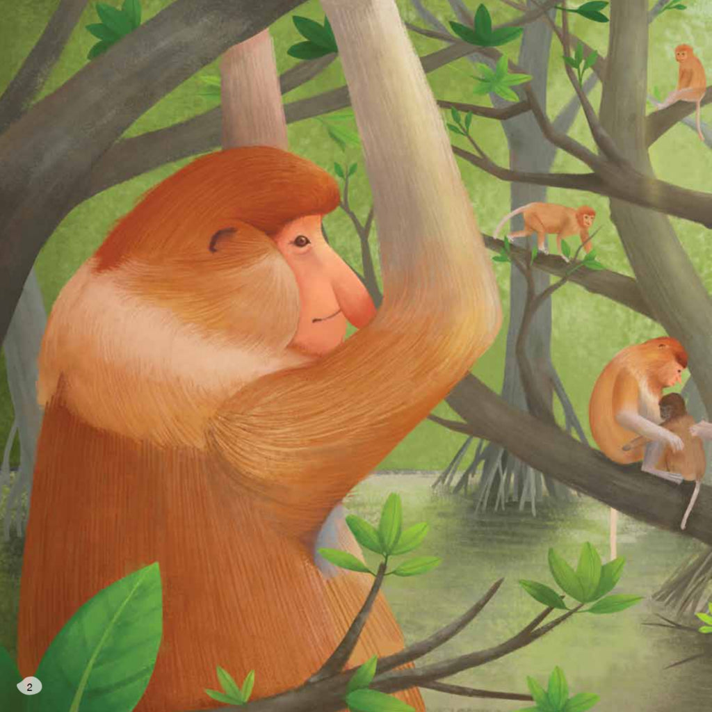 Animal Story World-Protect Them (The Proboscis Monkey Family)