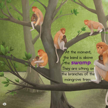 Animal Story World-Protect Them (The Proboscis Monkey Family)
