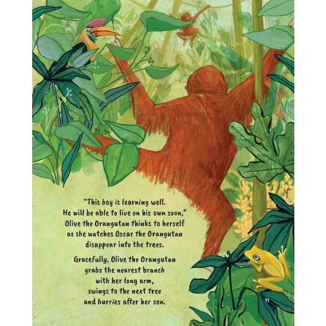 Happy Learning Math Series: Volume 5 : Olive And Oscar The Orangutans Swing On The Trees