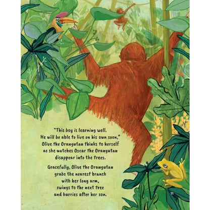 Happy Learning Math Series: Volume 5 : Olive And Oscar The Orangutans Swing On The Trees