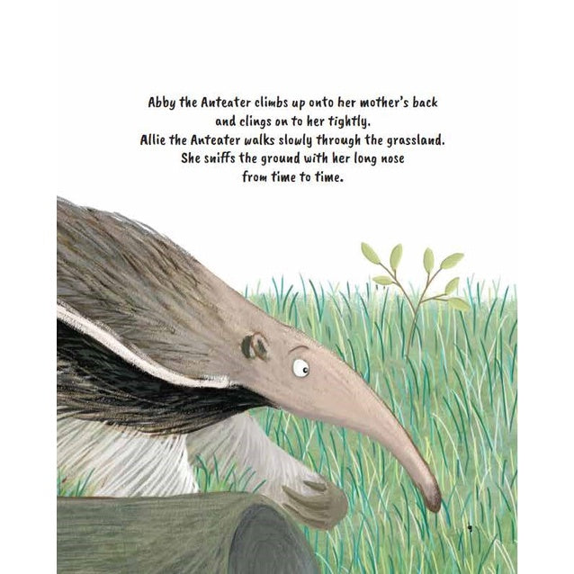 Happy Learning Math Series: Volume 6 : Abby The Anteater Feasts On The Ants