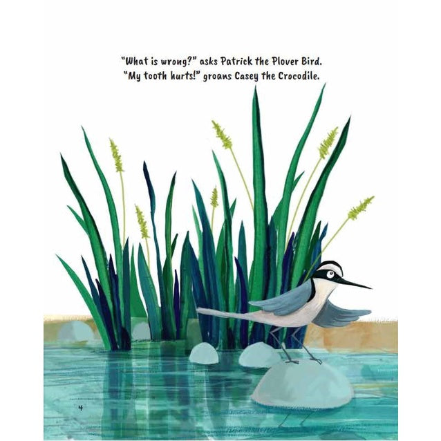 Casey the Crocodile Loses Her Teeth: A Story About Addition and Subtraction