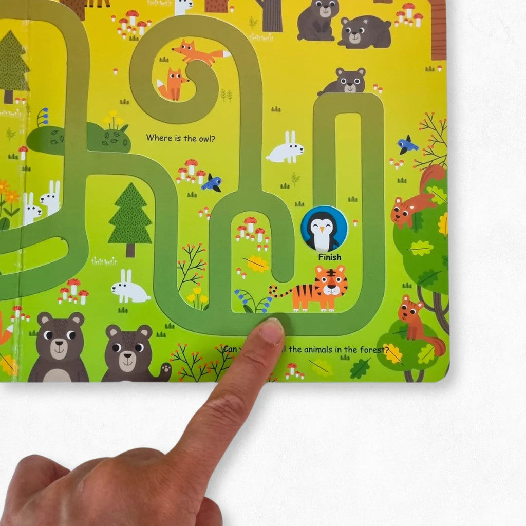 Funny Finger Mazes - Colourful Life